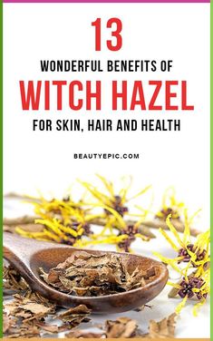 13 Wonderful Benefits Of Witch Hazel For Skin, Hair And Health Which Hazel Benefits, Witch Hazel For Hair, Benefits Of Witch Hazel, Medical Plants, Witch Hazel For Skin, Mama Natural