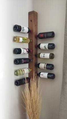 a wall mounted wine rack with six bottles on it and a plant in the middle