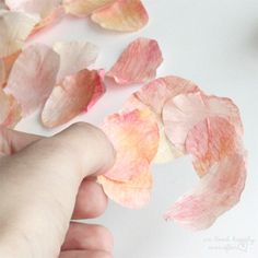 someone is peeling petals from a flower with their thumbnails to remove the petals