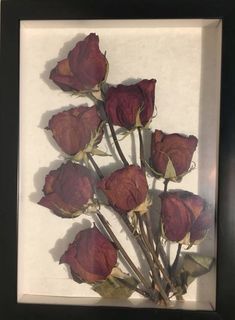 dried red roses are in a black frame