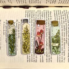 an open book with four bottles filled with plants