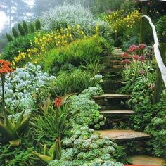 an image of a garden setting with flowers and plants on the steps leading up to it