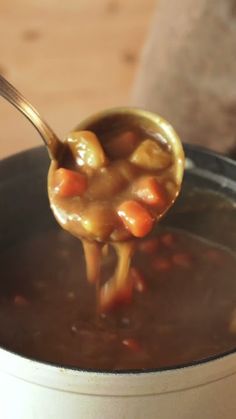 a ladle full of soup being lifted from a pot with some food in it