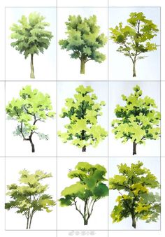 different types of trees are shown in this drawing class photo provided by the artist, person