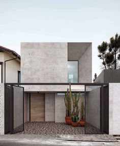 an entrance to a modern house with cactus in the front and concrete walls on either side