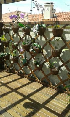 several potted plants are hanging on a trellis