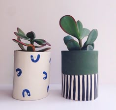 two potted plants sitting next to each other on top of a white countertop