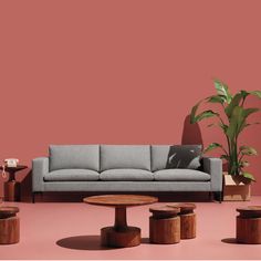 a living room filled with furniture and a potted plant on top of a table