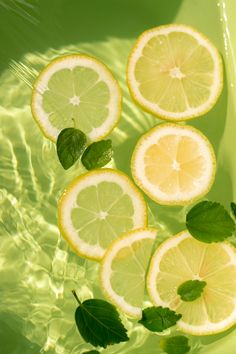 sliced lemons and lime leaves floating in water