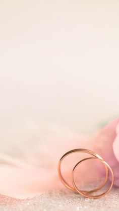 two gold rings sitting on top of a pink flower