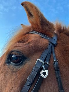 a close up of a horse's head with a heart on the bridle