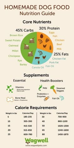 the ultimate guide to healthy cat food info