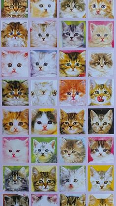 a bunch of cats that are all different colors and sizes on a sheet of paper