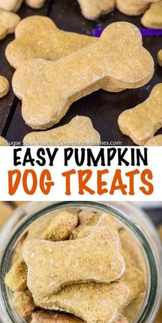 easy pumpkin dog treats in a jar with the title above it and an image of two pictures