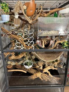 a bird cage filled with lots of different types of birds and other things in it