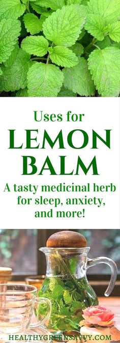 lemon balm for better sleep