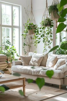 a living room filled with lots of plants and hanging planters above the couches