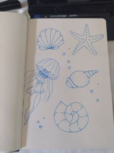 an open notebook with drawings of jellyfish, starfish and other marine creatures on it