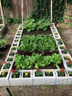 a garden with many different plants growing in it