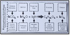 an image of a diagram with the names and symbols for different substances in each substance