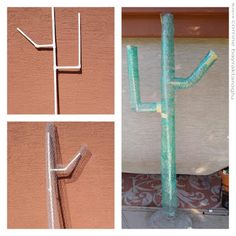 three different pictures of a cactus on the side of a building