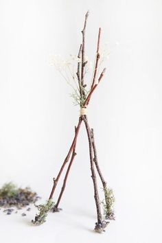 an arrangement of branches and flowers on a white background with tiny twigs in the foreground