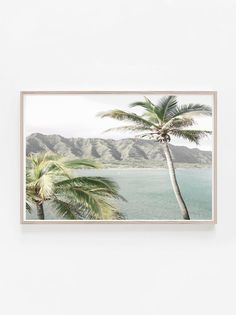 a palm tree in front of a white wall with water and mountains in the background