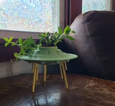 a green potted plant sitting on top of a wooden table next to a window