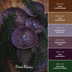 the color scheme for this pantone board shows different shades of purple, green and brown