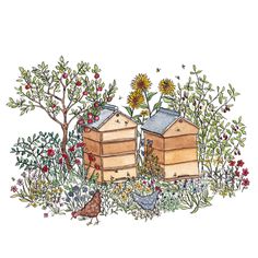 two beehives in the grass with flowers and birds