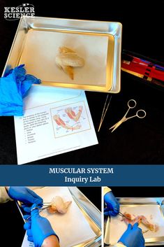 there are pictures of how to use the muscular system in an injury lab