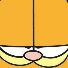 the face of garfield the cat