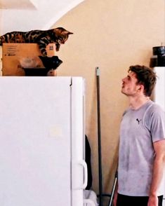 a man looking up at a cat on top of a refrigerator