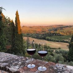 two wine glasses sitting on top of a stone wall with trees in the back ground