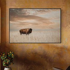 a bison is standing in the middle of a field with tall grass under a cloudy sky