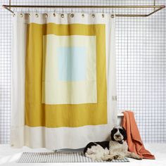 a black and white dog laying next to a shower curtain