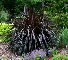 a garden with various plants and flowers in it