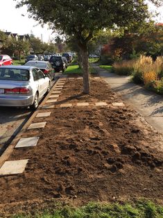 cars parked on the side of a road next to a tree and mulchy ground