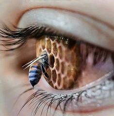 a close up of a person's eye with a bee on it