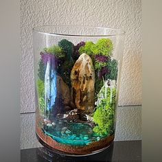 there is a glass with rocks and plants in it