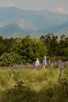 boyfriend proposing to girlfriend in Sugar Hill New Hampshire among the lupine. Whimsical Proposal, Proposal In Flower Field, Wedding Proposals Mountains, Proposal On Mountain, Flower Field Proposal Ideas, Lavender Field Proposal, Private Engagement, Proposal In Mountains