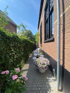 the sidewalk is lined with potted plants and flowers on either side of the building