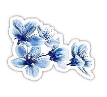 some blue flowers on a white background