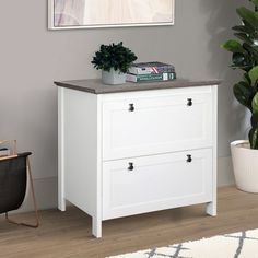 a white cabinet with two drawers in front of a plant and a potted plant