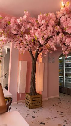 a woman sitting in front of a tree with pink flowers on it's branches