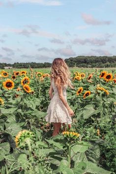 a woman standing in a field of sunflowers looking at the sky with her back to the camera