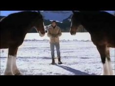 a man standing next to two horses in the snow