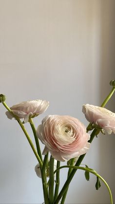 three pink flowers are in a vase on a table next to a white wall and window