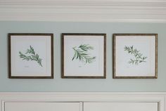 three framed art pieces hang on the wall above a white dresser in a room with blue walls