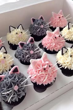 cupcakes decorated with icing in the shape of cats and kitten heads are on display